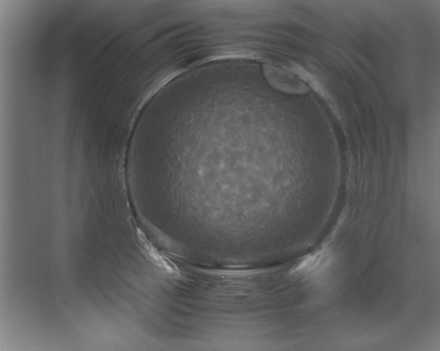 X0000072521137200607141151