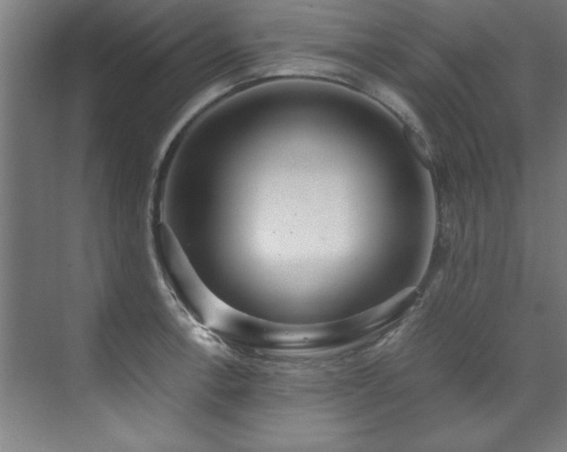 X0000072521138200607141151