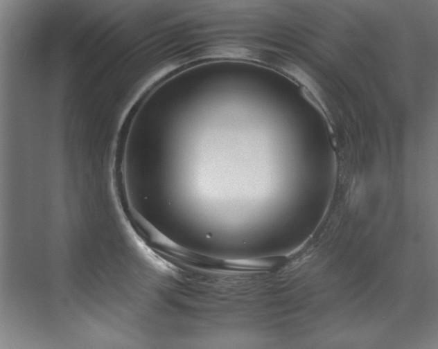 X0000072521139200607141151