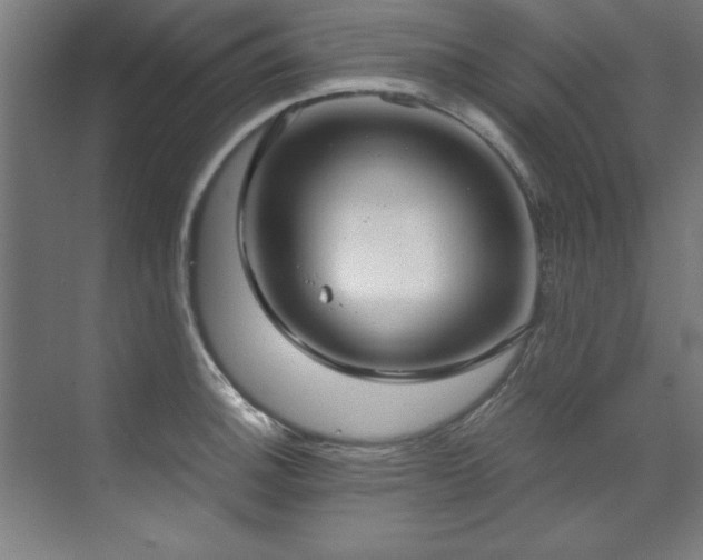 X0000072521140200607141151