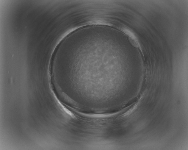 X0000072521141200607141151