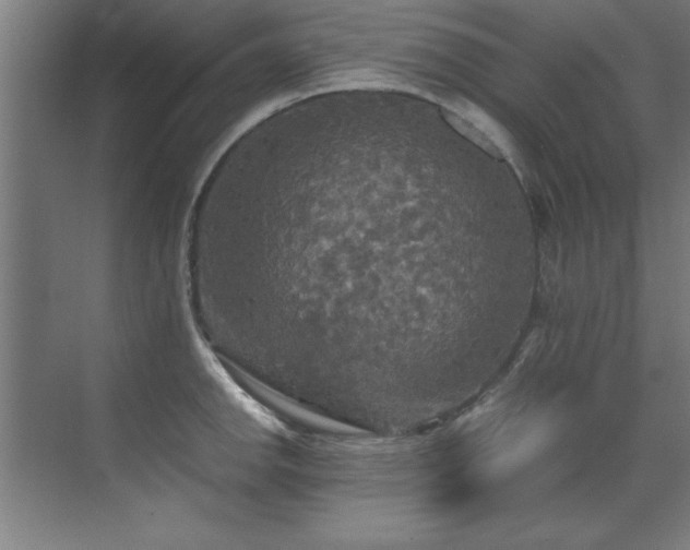 X0000072521142200607141151