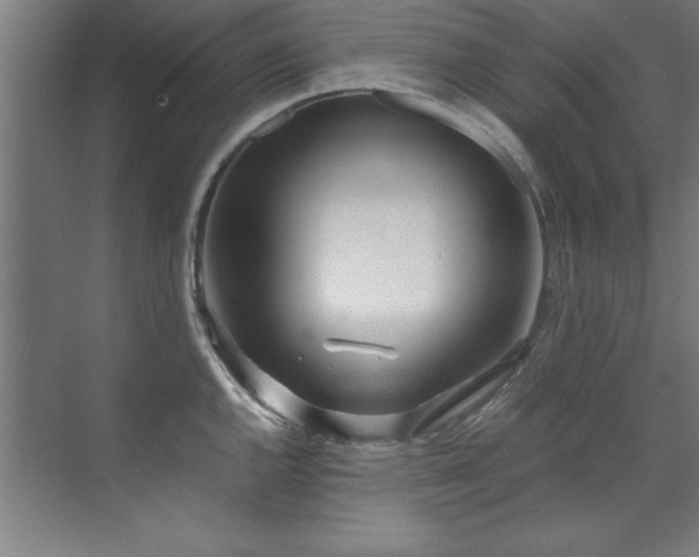 X0000072521144200607141151