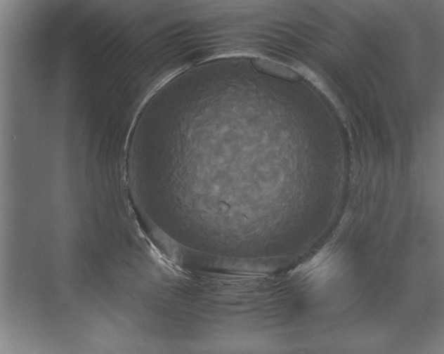 X0000072521145200607141151