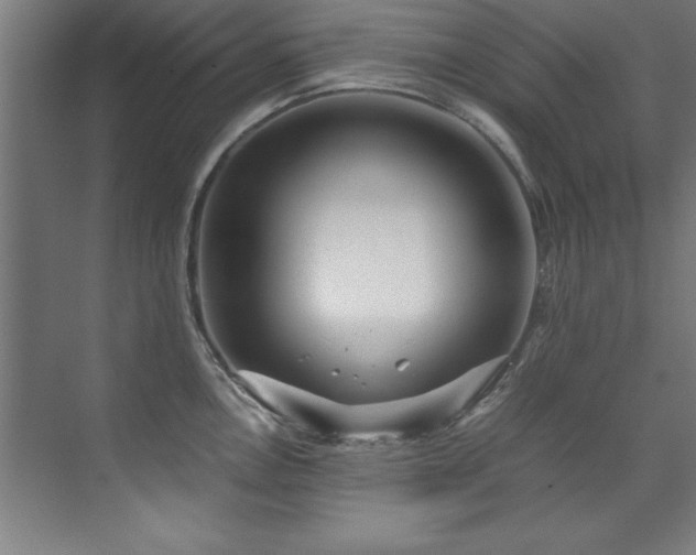 X0000072521146200607141151