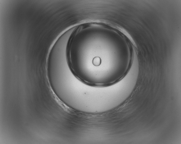 X0000072521148200607141151