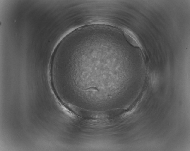 X0000072521149200607141151