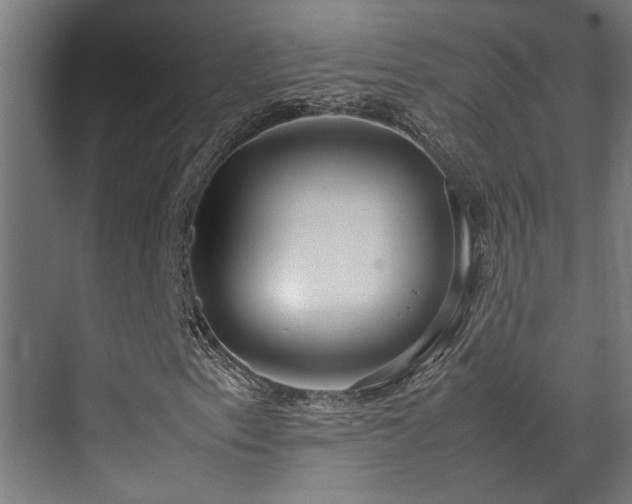 X0000072521153200607141150