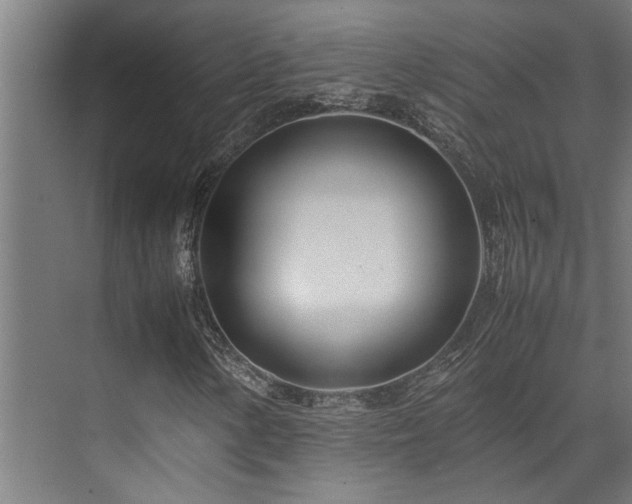 X0000072521154200607141150