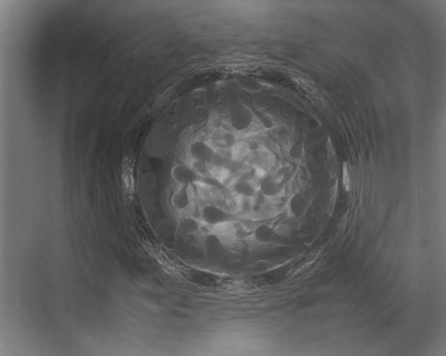 X0000072521155200607141150