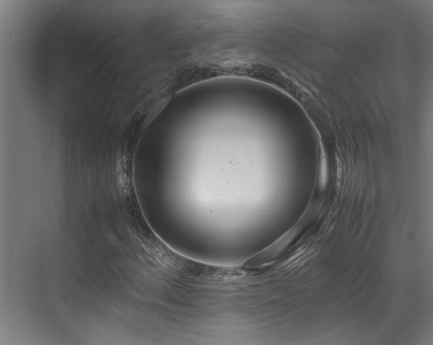 X0000072521156200607141150