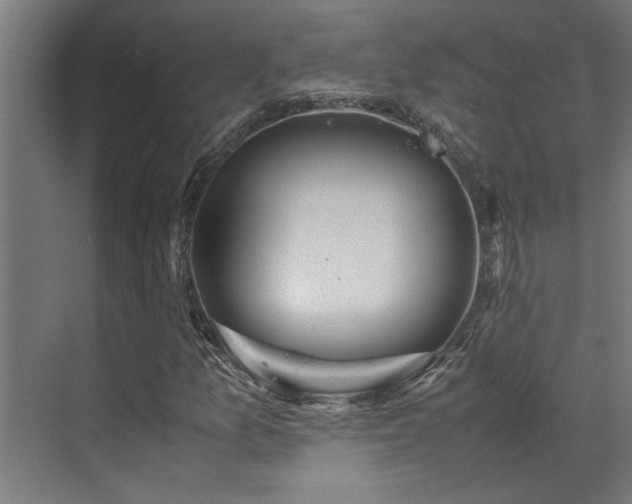 X0000072521157200607141150