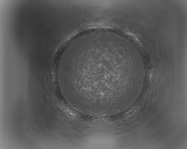 X0000072521159200607141150