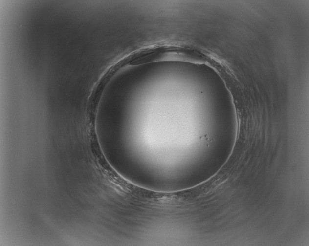 X0000072521160200607141150