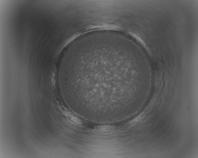 X0000072521163200607141150