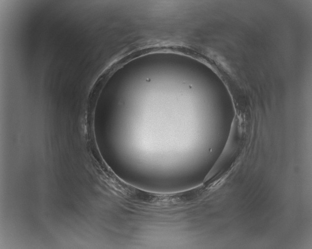 X0000072521165200607141150