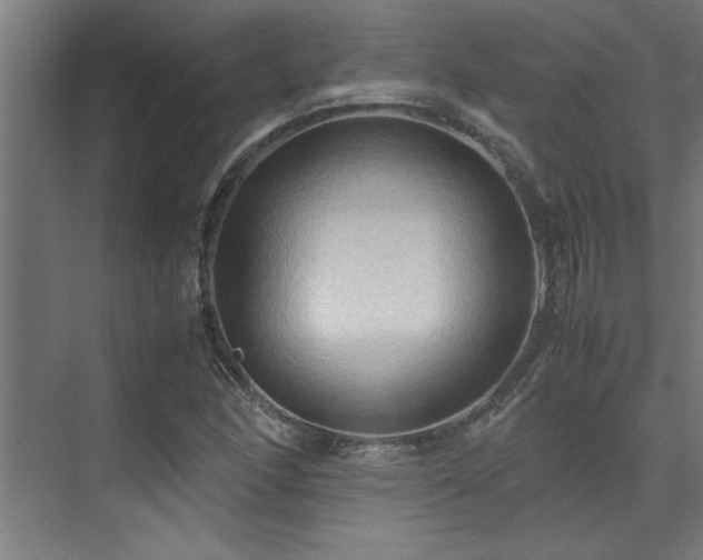 X0000072521166200607141150