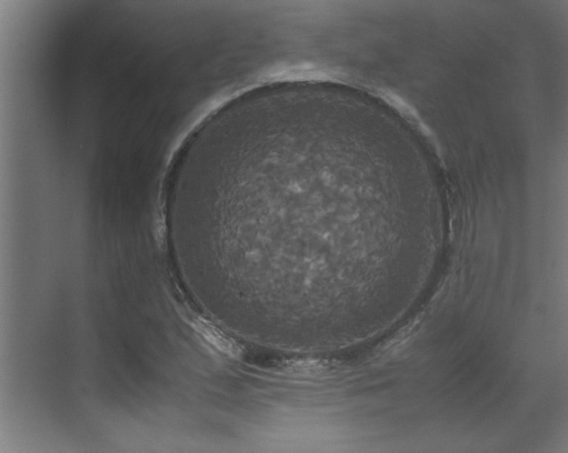 X0000072521167200607141150