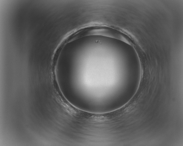 X0000072521168200607141150