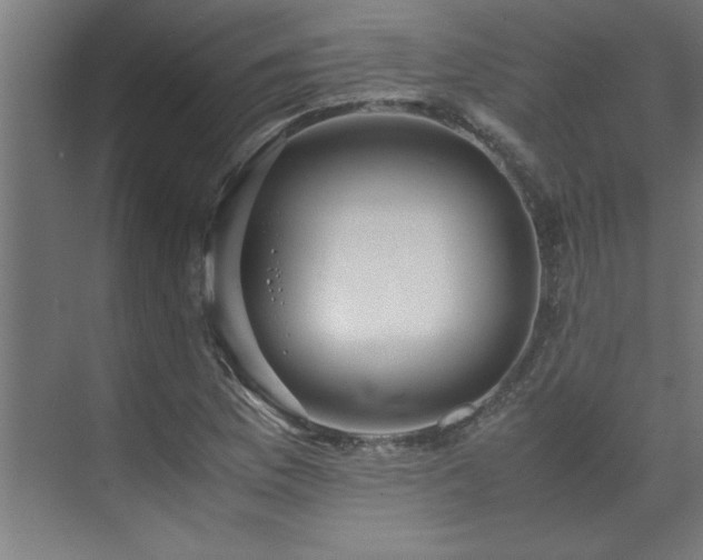 X0000072521169200607141150