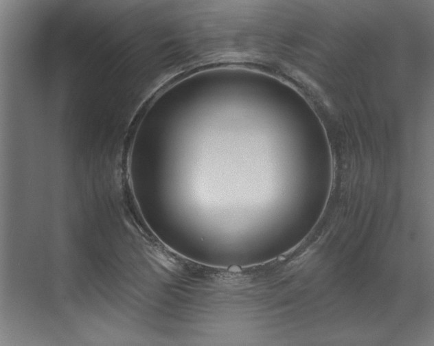 X0000072521170200607141150