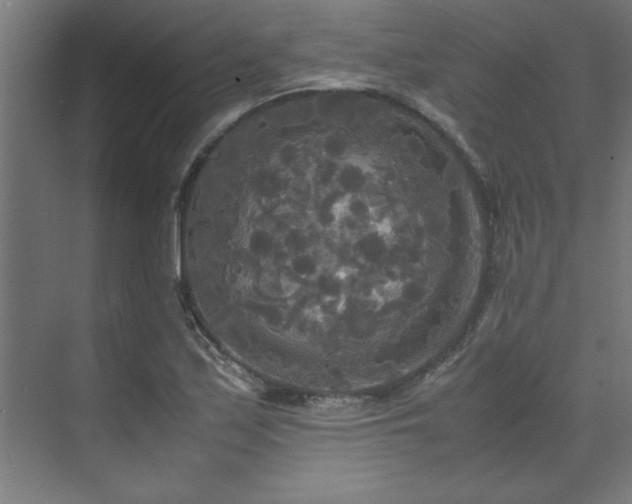 X0000072521171200607141150