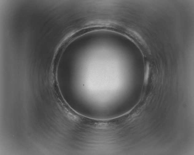 X0000072521172200607141150