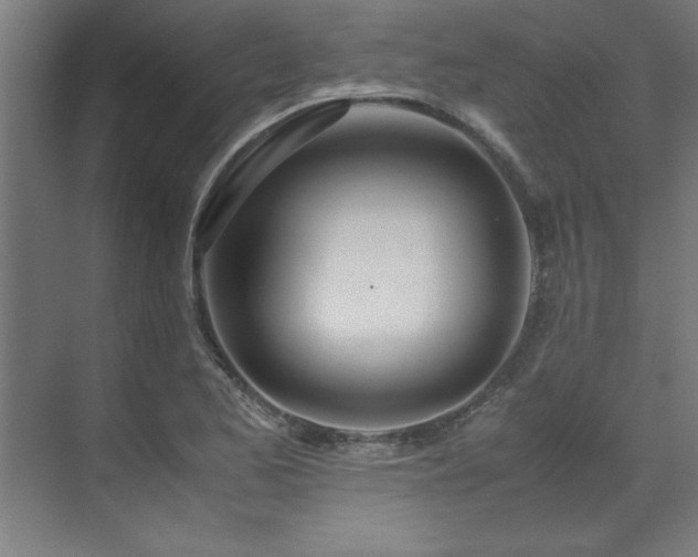 X0000072521173200607141150