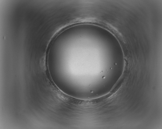 X0000072521174200607141150