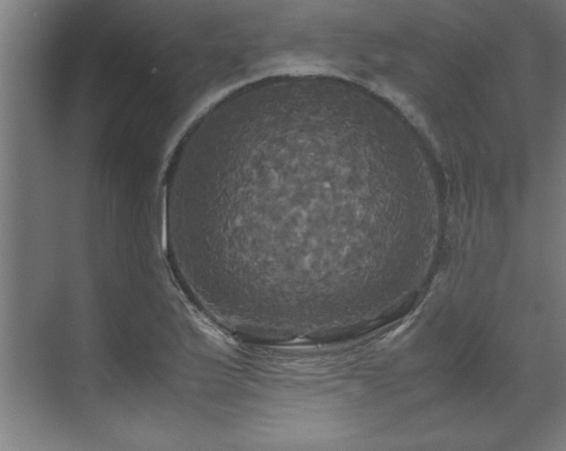 X0000072521175200607141150