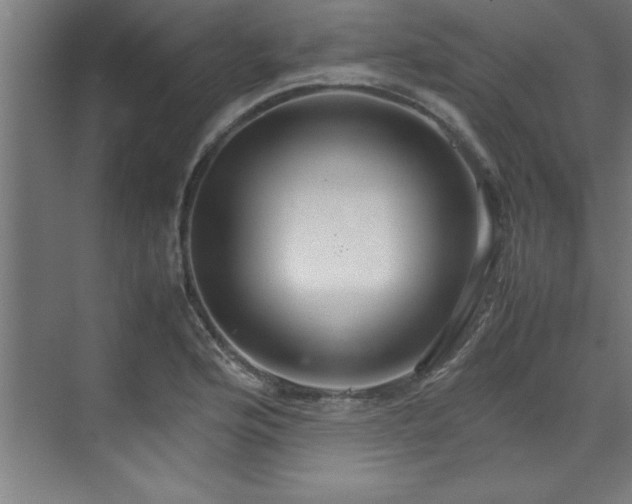 X0000072521176200607141150