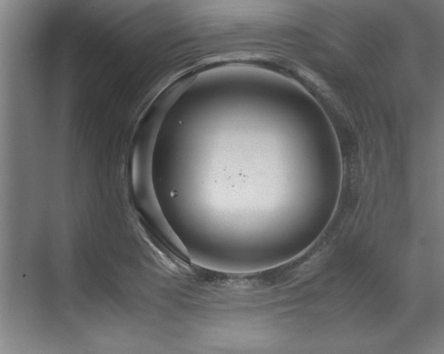 X0000072521177200607141150