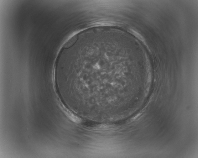 X0000072521179200607141150