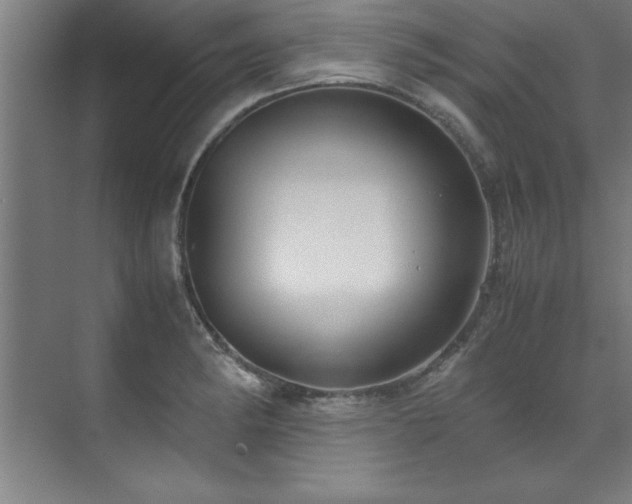 X0000072521182200607141150