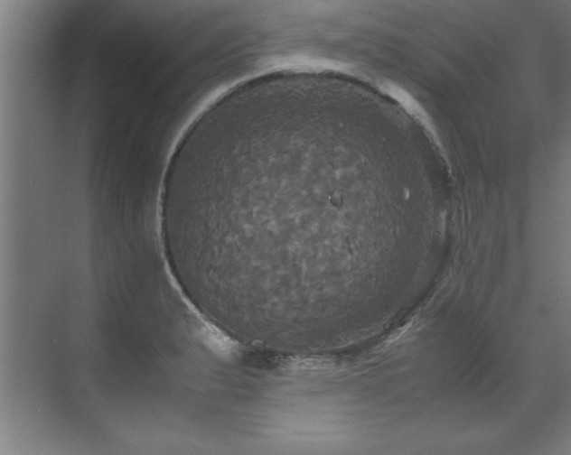 X0000072521183200607141150