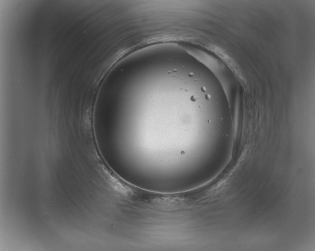 X0000072521185200607141150