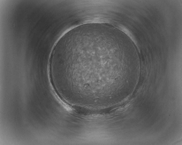 X0000072521187200607141150