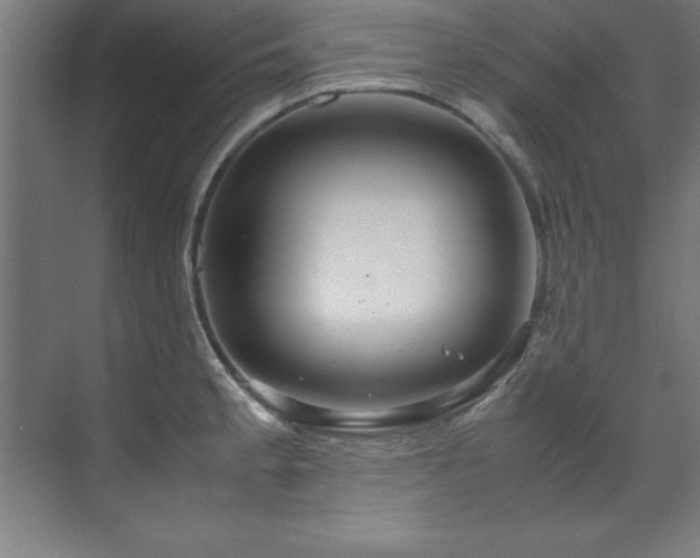 X0000072521189200607141150