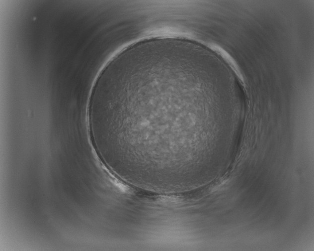 X0000072521191200607141150