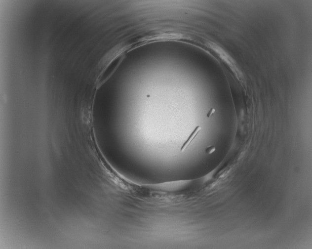 X0000072521193200607141150