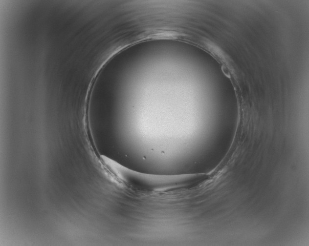 X0000072521194200607141150