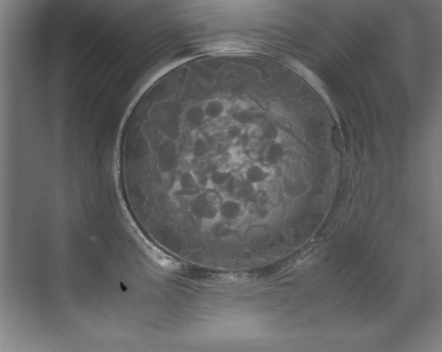 X0000072521195200607141150