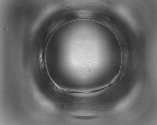 X0000072521198200607141150