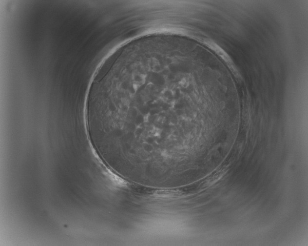 X0000072521199200607141150