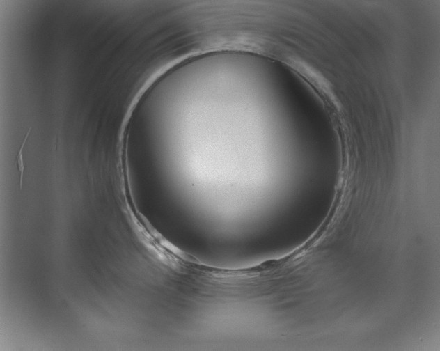 X0000072521200200607141150