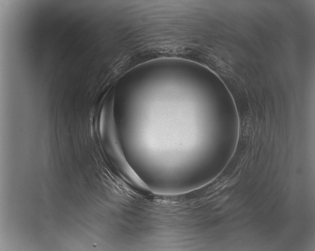 X0000072521202200607141149