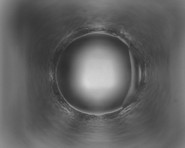 X0000072521206200607141149