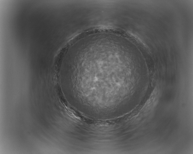 X0000072521207200607141149