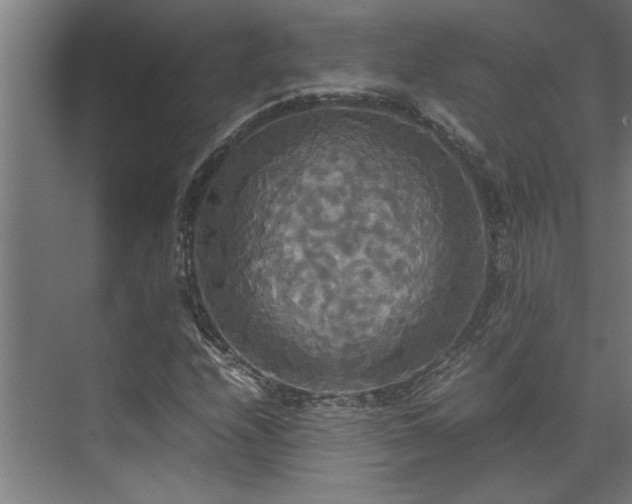 X0000072521208200607141149