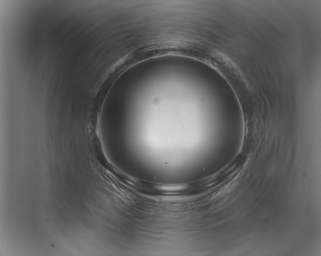 X0000072521210200607141149